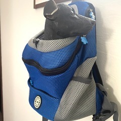 小型犬リュックと首輪パンツのセットの画像