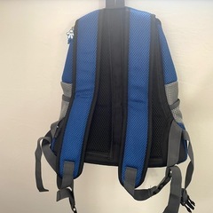 小型犬リュックと首輪パンツのセットの画像