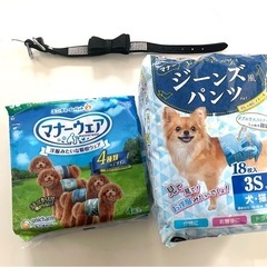 小型犬リュックと首輪パンツのセットの画像