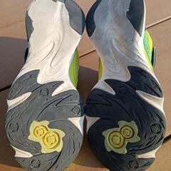 キッズシューズの画像