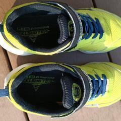 キッズシューズの画像