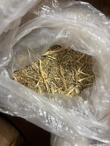 ２０キロ位　完全無農薬栽培のチモシー うさぎや小動物