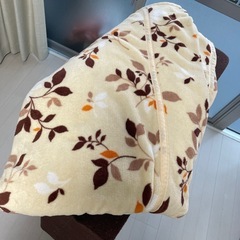 ソファベッド&ブランケット付き　の画像