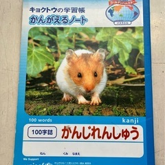 【一冊30円】ノート 学校用品　5ミリ方眼　漢字練習帳　おまとめ割の画像