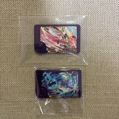 ポケモンフレンダ交換希望です。 譲:テツノブジンまたはテラパゴス...