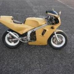 NSRたぬき様