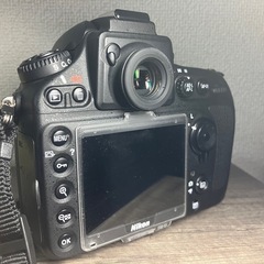 Nikon D800+単焦点50mmF1.4の画像