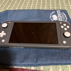 Switchライト充電器あります。