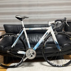 チネリマッシュヒストグラムフルカスタム完成車