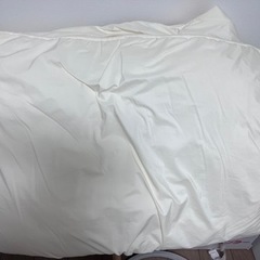 【値下げ】掛け布団　アイリスオーヤマの画像