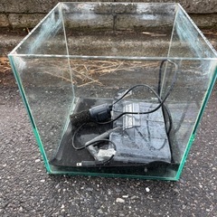 厚みのある水槽