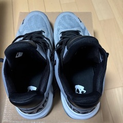 エゴザル 
バッシュの画像