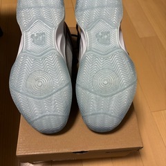 エゴザル 
バッシュの画像