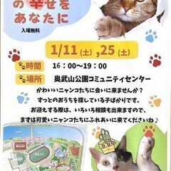 ⭐️1/19豊崎どうぶつ病院にて譲渡会参加します⭐️ - 里親募集