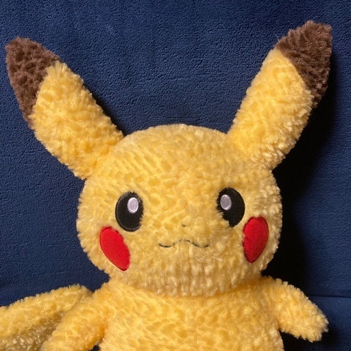 Pikachu's Closet ★ ピカチュウ ぬいぐるみ 希少