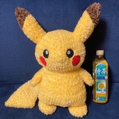 Pikachu's Closet ★ ピカチュウ ぬいぐるみ 希少の画像