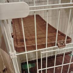 ペットゲージの画像