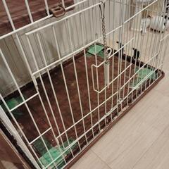 ペットゲージの画像