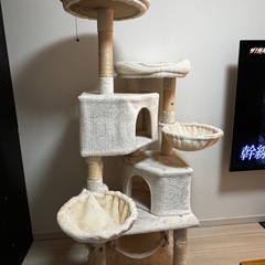 キャットタワー　多頭飼い　猫