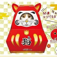 【配送可】CattyManキャティーマン なりきりにゃんボックス だるま 猫ちゃんコスプレBOX 猫用ハウス 可愛い お正月 賀正 お祝い ダルマの画像