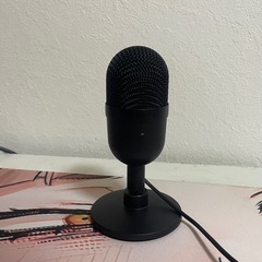 Razer Seiren mini