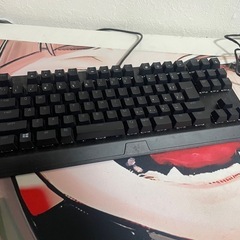 Razer blackwidow v3