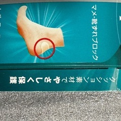 バンドエイト　マメ　お話中の画像