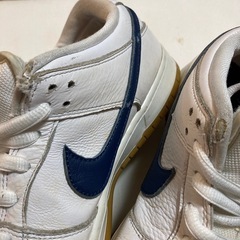 NIKESB　スニーカー27.0の画像
