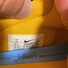 NIKE SB  27.0cmの画像