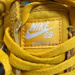 NIKE SB  27.0cmの画像