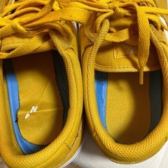 NIKE SB  27.0cmの画像