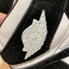 NIKE AIR JORDAN26.5の画像
