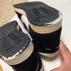 NIKE AIR JORDAN26.5の画像
