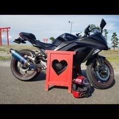 年式2013年式ニンジャ250の画像