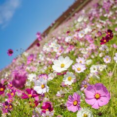 【20代×カメラ×友達作り】上野駅周辺を散歩しながら写真を…