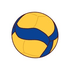 バレーボール🏐