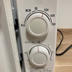 TWINBIRD DR-D319の画像