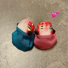 獅子舞　お手玉の画像