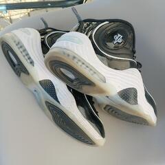 NIKE pennyII  の画像