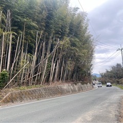 ⭐️放置している竹林.雑木林.山林伐採、抜根して売却.賃貸がお勧め - 福岡市
