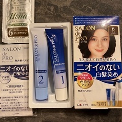SALON de PRO 白髪染め 6 ダークブラウン　カラート...