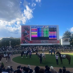 ［締め切り］1月26日中山競馬場に競馬を観に行こう！競馬仲間・競馬友達募集😃 - 杉並区