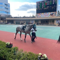 ［締め切り］1月26日中山競馬場に競馬を観に行こう！競馬仲間・競馬友達募集😃 - 友達