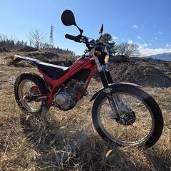 GASGAS　TXランドネ125  トライアルバイクの画像