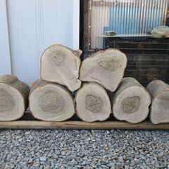 ■(完売) :丸太・樫( カシ ) の広葉樹-2・・圧巻の重厚感と強度最強クラスの画像