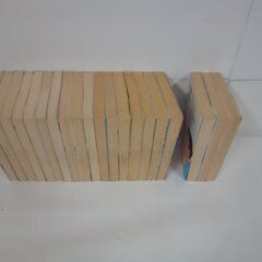 ヤンマガKC 高倉あつこ著 「ハゲしいな！桜井くん 全17巻、新婚編 全3巻」 まとめて全20巻セットの画像