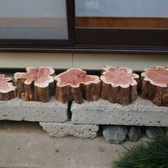 ■(完売) :希少 丸太・杉(スギ) ・・・オブジェ  /   もみじ饅頭の画像