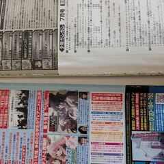 少年ガンガン2010年7月号の画像