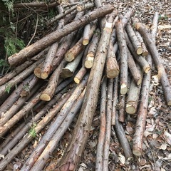 秩父産の杉と檜　丸太　DIY、小屋材料に