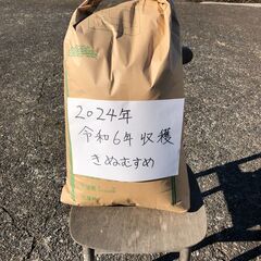 2024年令和6年　（きぬむすめ）受付終了